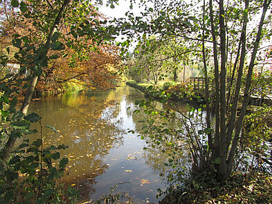 Exkursion Flora Westfalica